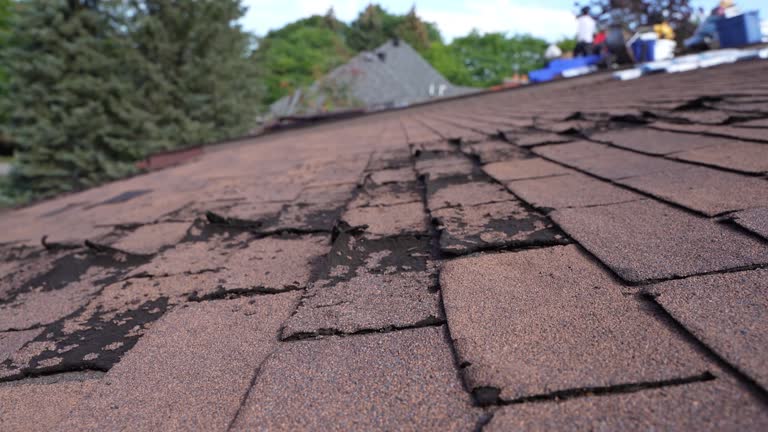 Best Asphalt Shingles Roofing  in Summit, IL